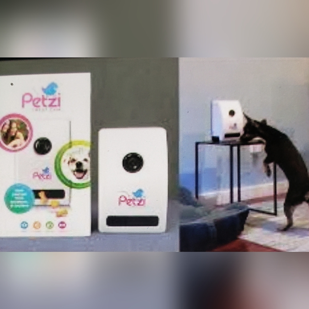 **Host Pick* Petzi Treat Cam with App Connectivity.